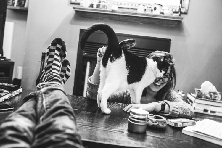 Когда не коты живут у хозяина, а хозяин у котов Когда не коты живут у хозяина, а хозяин у котов