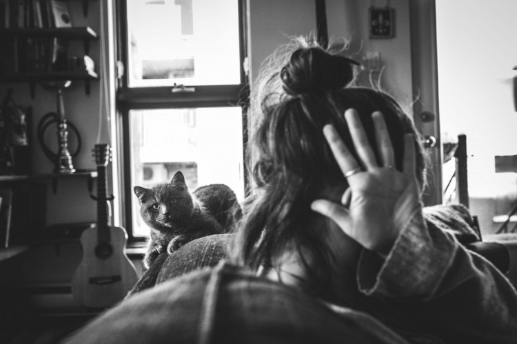Когда не коты живут у хозяина, а хозяин у котов Когда не коты живут у хозяина, а хозяин у котов
