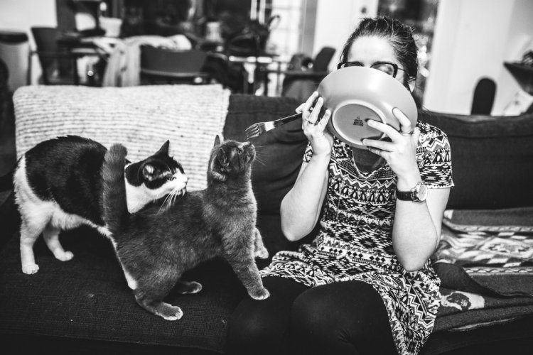 Когда не коты живут у хозяина, а хозяин у котов Когда не коты живут у хозяина, а хозяин у котов