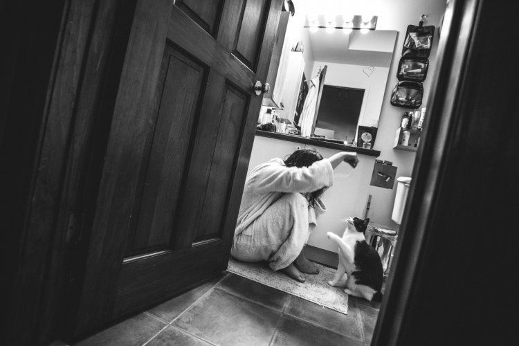 Когда не коты живут у хозяина, а хозяин у котов Когда не коты живут у хозяина, а хозяин у котов