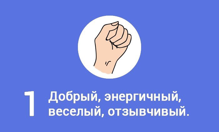 Этот тест выдаст о тебе всю правду: узнай, какие тайны скрывает сжатый кулак. Этот тест выдаст о тебе всю правду: узнай, какие тайны скрывает сжатый кулак.