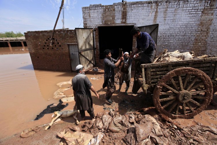 Фото жизни людей в Пакистане Фото жизни людей в Пакистане