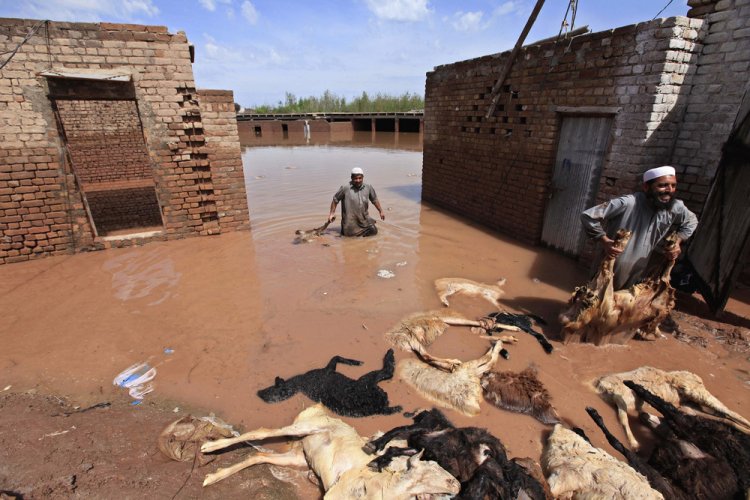 Фото жизни людей в Пакистане Фото жизни людей в Пакистане