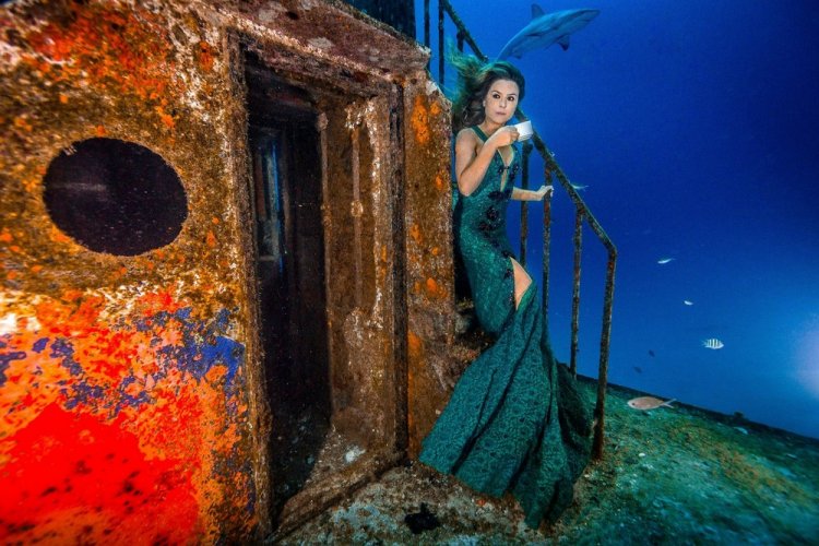Впечатляющая фотосессия с акулами Впечатляющая фотосессия с акулами