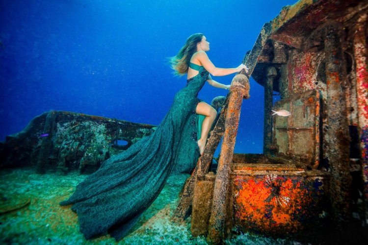 Впечатляющая фотосессия с акулами Впечатляющая фотосессия с акулами