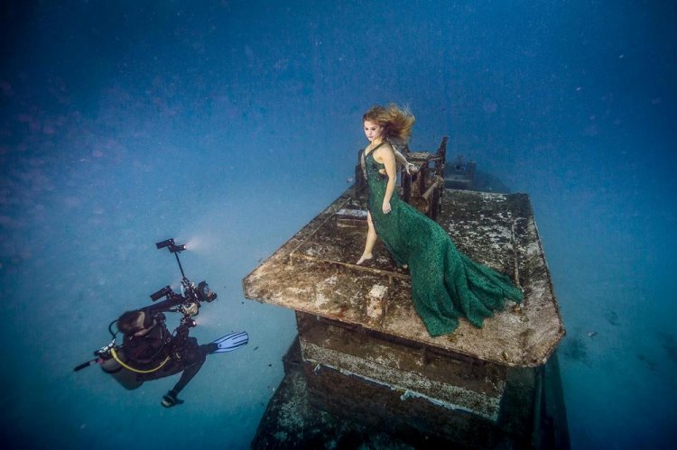 Впечатляющая фотосессия с акулами Впечатляющая фотосессия с акулами