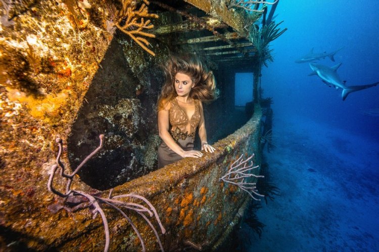 Впечатляющая фотосессия с акулами Впечатляющая фотосессия с акулами
