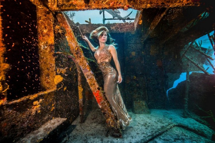Впечатляющая фотосессия с акулами Впечатляющая фотосессия с акулами