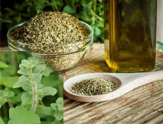 Натуральные антибиотики, которые найдутся на каждой кухне Натуральные антибиотики, которые найдутся на каждой кухне