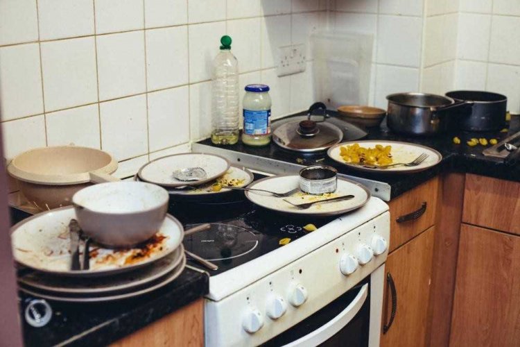 Холостяцкие берлоги в разных странах мира Холостяцкие берлоги в разных странах мира