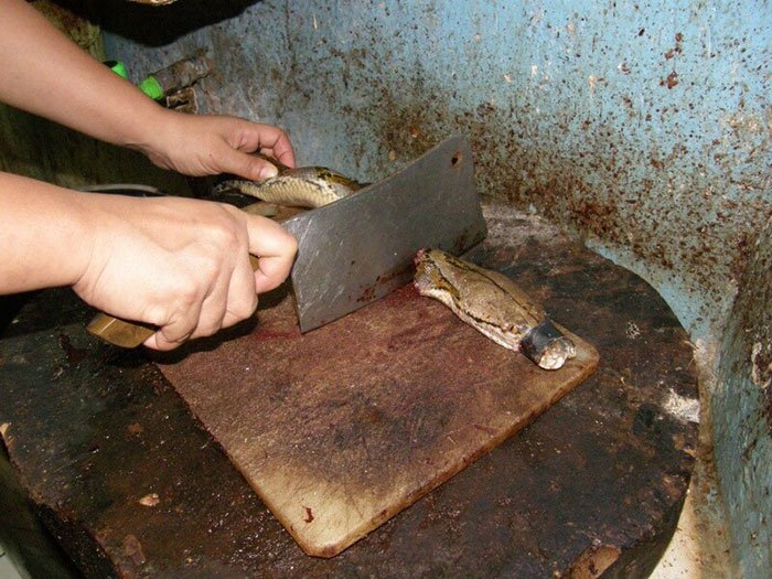 Шокирующая рекламная компания «Что скрывается за кожей» Шокирующая рекламная компания «Что скрывается за кожей»
