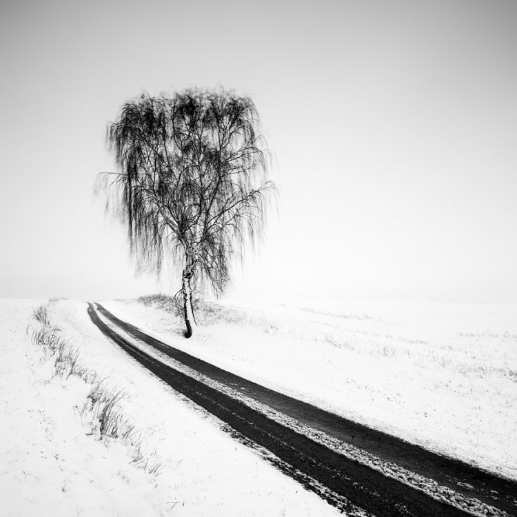Самые популярные черно-белые фотографии на 500px этого года Самые популярные черно-белые фотографии на 500px этого года
