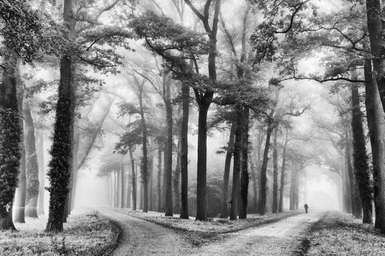 Самые популярные черно-белые фотографии на 500px этого года Самые популярные черно-белые фотографии на 500px этого года