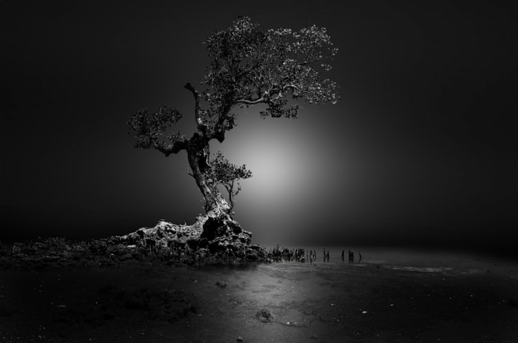 Самые популярные черно-белые фотографии на 500px этого года Самые популярные черно-белые фотографии на 500px этого года
