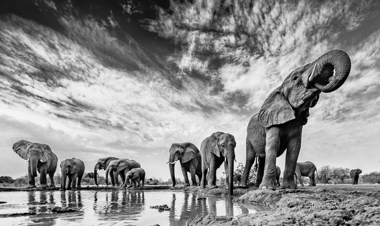 Самые популярные черно-белые фотографии на 500px этого года Самые популярные черно-белые фотографии на 500px этого года