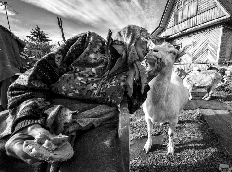 Снимки с конкурса «Лучшие фотографии России» Снимки с конкурса «Лучшие фотографии России»
