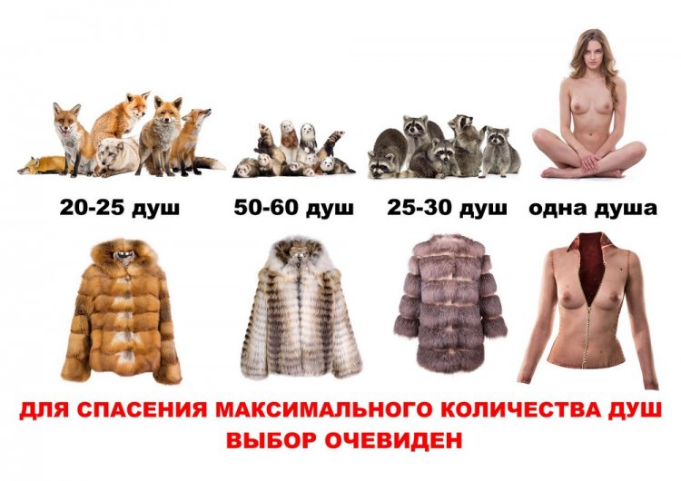 Иркутская модель снялась обнаженной ради спасения животных Иркутская модель снялась обнаженной ради спасения животных