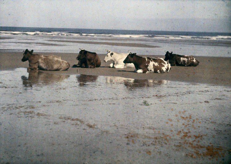Цветные фотографии начала 1900-х годов Цветные фотографии начала 1900-х годов