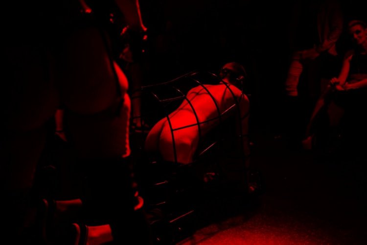 Петербургские БДСМ-сообщества (18+) Петербургские БДСМ-сообщества (18+)