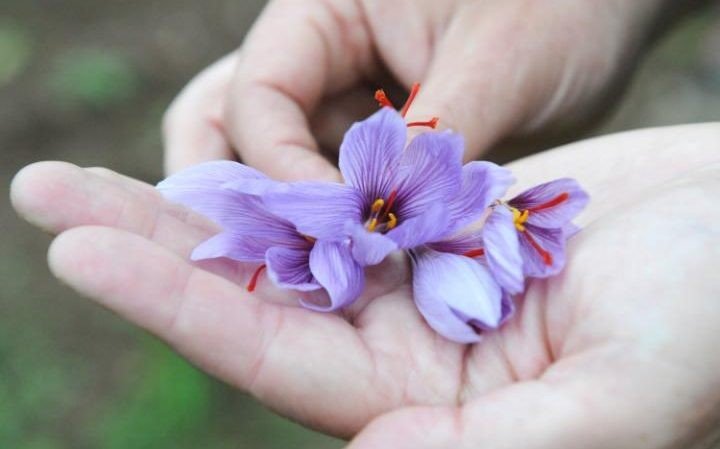 Самые дорогие вещества в мире Самые дорогие вещества в мире