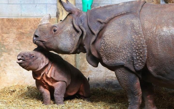 Самые дорогие вещества в мире Самые дорогие вещества в мире