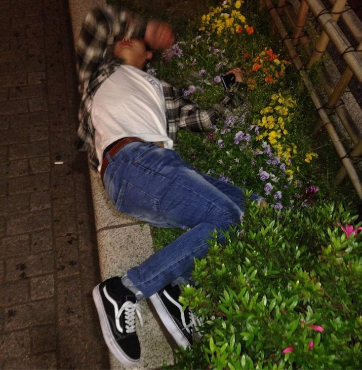 Пьяные японцы в Instagram австралийца Пьяные японцы в Instagram австралийца