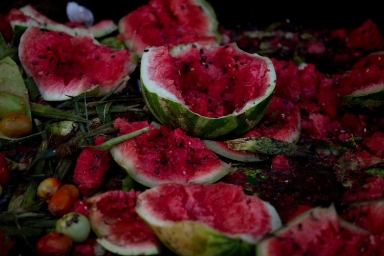 В Венесуэле люди питаются овощами и фруктами из мусорок В Венесуэле люди питаются овощами и фруктами из мусорок