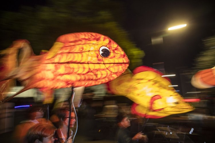 Luminous Lantern Parade в Австралии Luminous Lantern Parade в Австралии