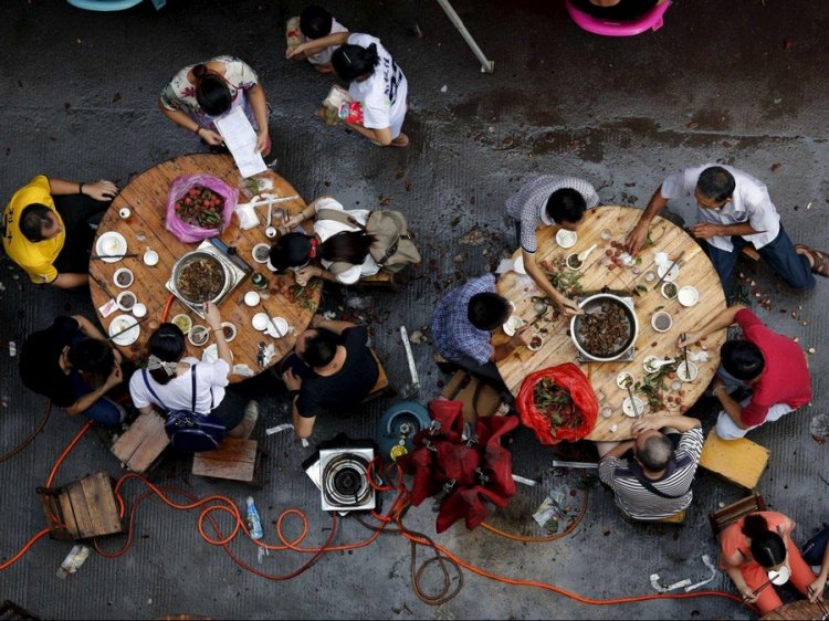 Фестиваль собачьего мяса в Китае Фестиваль собачьего мяса в Китае
