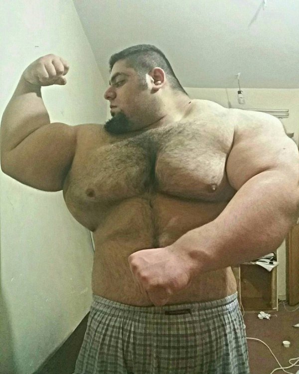24-летний Халк из Ирана 24-летний Халк из Ирана