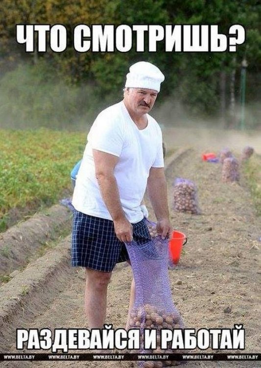 Люди разделись на работе по совету Лукашенко Люди разделись на работе по совету Лукашенко