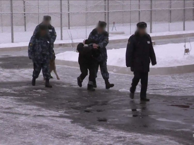 Экскурсия в «Чёрный дельфин» Экскурсия в «Чёрный дельфин»