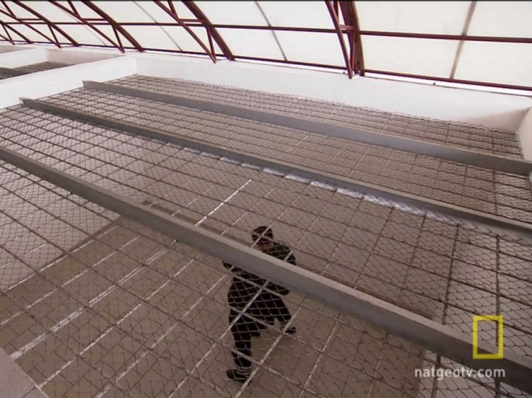 Экскурсия в «Чёрный дельфин» Экскурсия в «Чёрный дельфин»