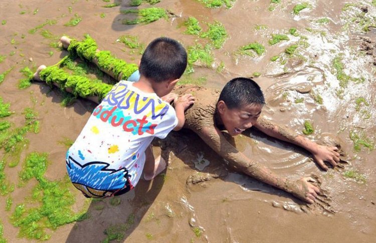 Тонны водорослей не мешают китайцам отдыхать Тонны водорослей не мешают китайцам отдыхать
