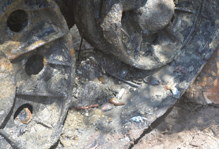 Со дна Дона подняли единственный сохранившийся танк Т-34-76 Со дна Дона подняли единственный сохранившийся танк Т-34-76