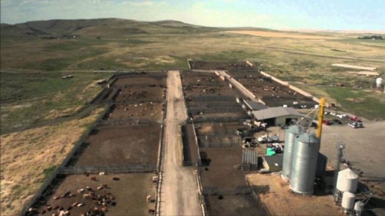 Эти причины гарантированно убедят вас отказаться от Бигмака и картошки фри навсегда Эти причины гарантированно убедят вас отказаться от Бигмака и картошки фри навсегда