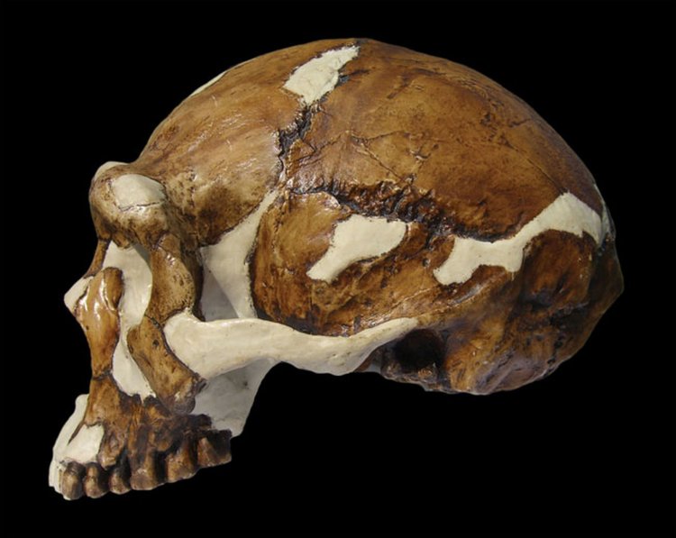 Исторические сокровища, которые мир потерял в течение последних 100 лет Исторические сокровища, которые мир потерял в течение последних 100 лет