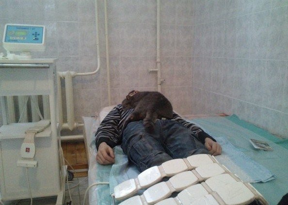 Пишите завещания, в больницах все больше молодых специалистов Пишите завещания, в больницах все больше молодых специалистов