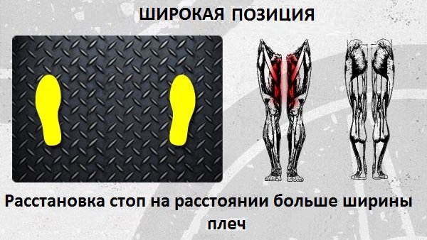 Жим ногами: способы расстановки стоп для эффективной тренировки Жим ногами: способы расстановки стоп для эффективной тренировки