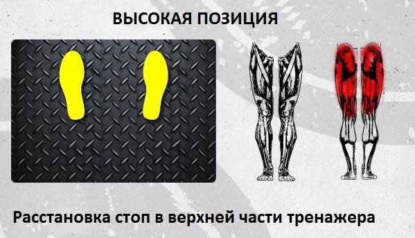 Жим ногами: способы расстановки стоп для эффективной тренировки Жим ногами: способы расстановки стоп для эффективной тренировки