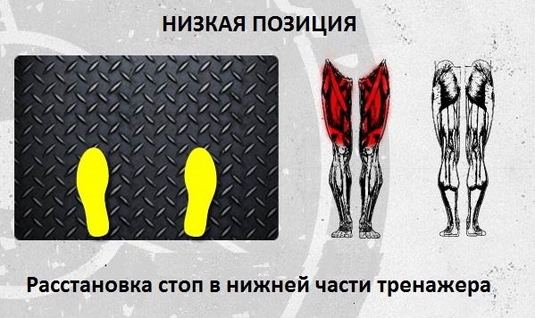 Жим ногами: способы расстановки стоп для эффективной тренировки Жим ногами: способы расстановки стоп для эффективной тренировки