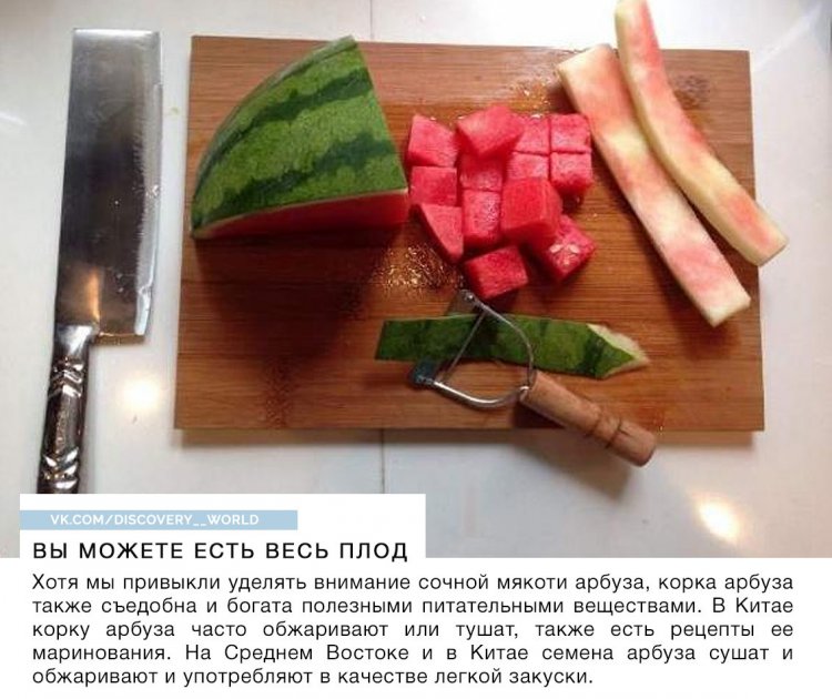 Все, что вы хотели знать об арбузах, но стеснялись спросить))) (фото) Все, что вы хотели знать об арбузах, но стеснялись спросить))) (фото)