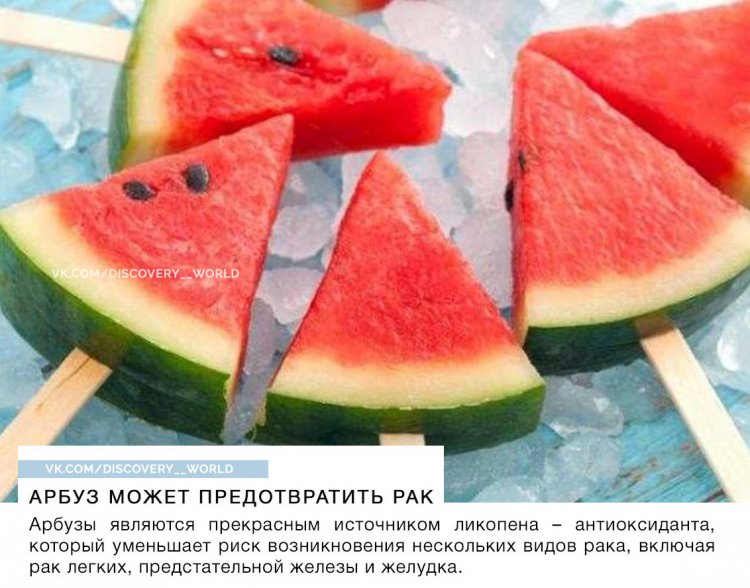 Все, что вы хотели знать об арбузах, но стеснялись спросить))) (фото) Все, что вы хотели знать об арбузах, но стеснялись спросить))) (фото)