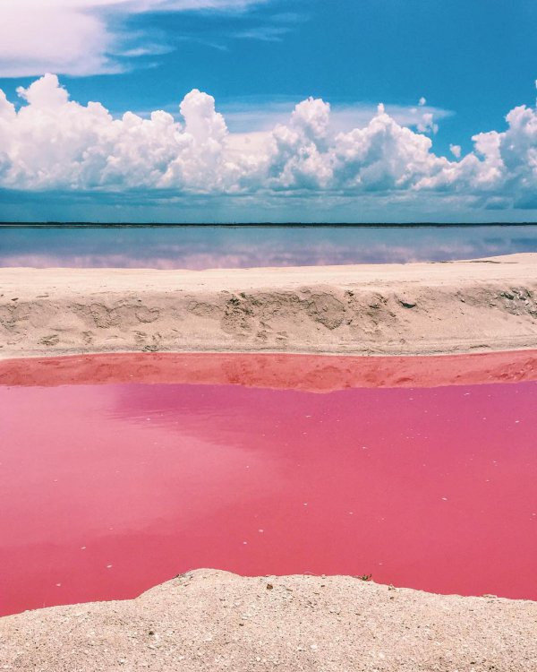 Розовая лагуна в Мексике — идеальное место создания фотографий для Instagram Розовая лагуна в Мексике — идеальное место создания фотографий для Instagram