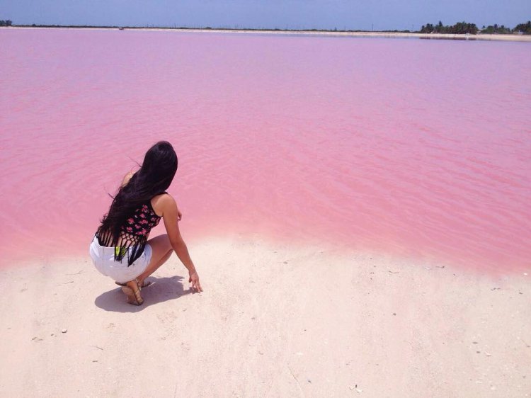 Розовая лагуна в Мексике — идеальное место создания фотографий для Instagram Розовая лагуна в Мексике — идеальное место создания фотографий для Instagram