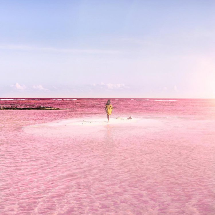 Розовая лагуна в Мексике — идеальное место создания фотографий для Instagram Розовая лагуна в Мексике — идеальное место создания фотографий для Instagram