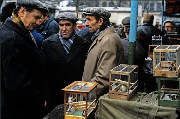 СССР. Последние пятилетки IV СССР. Последние пятилетки IV