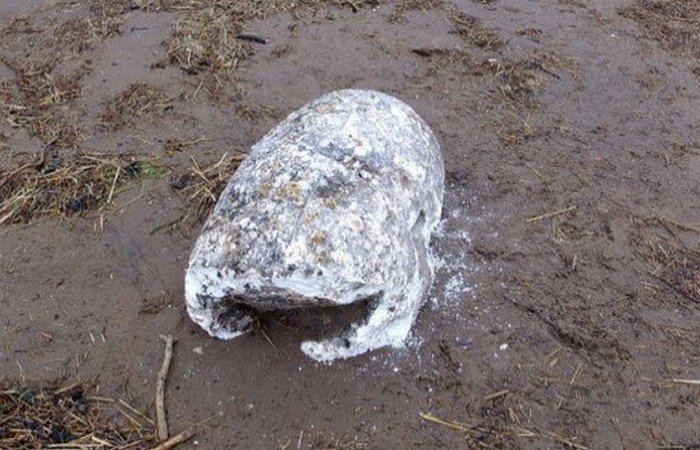 Удивительные находки, которые были сделаны благодаря ненастью Удивительные находки, которые были сделаны благодаря ненастью
