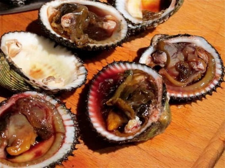 Отвратительные блюда со всего мира, которые кажутся кому-то вкусными Отвратительные блюда со всего мира, которые кажутся кому-то вкусными