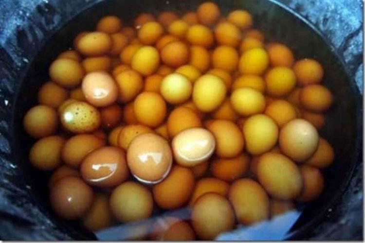 Отвратительные блюда со всего мира, которые кажутся кому-то вкусными Отвратительные блюда со всего мира, которые кажутся кому-то вкусными
